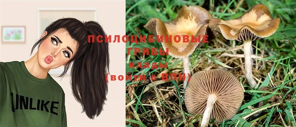 винт Алексеевка
