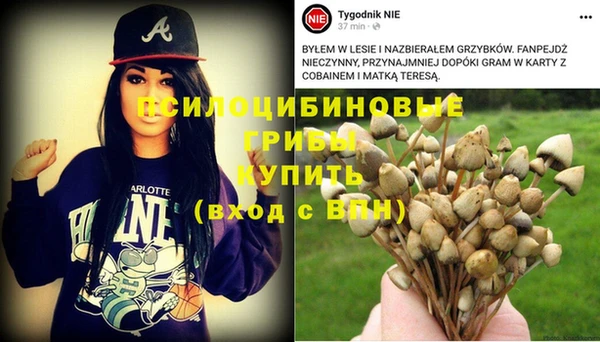 винт Алексеевка