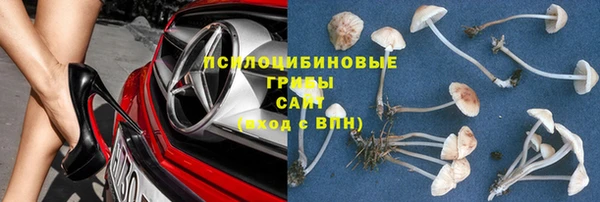 PSILOCYBIN Алзамай