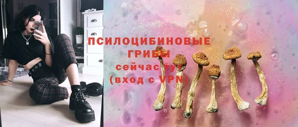 ALPHA PVP Алексин