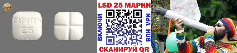 блэк спрут вход  Аркадак  Лсд 25 экстази кислота  цена наркотик 